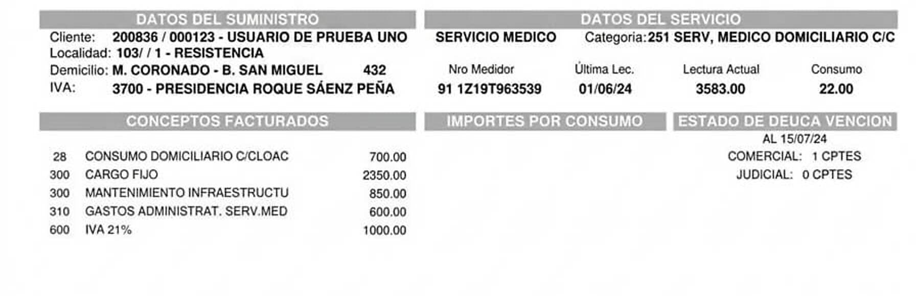 Detalle de la factura de SAMEEP: la línea Cliente con el número de cliente y el de suministro, los datos del servicio con el medidor y las lecturas, los conceptos facturados y el estado de deuda